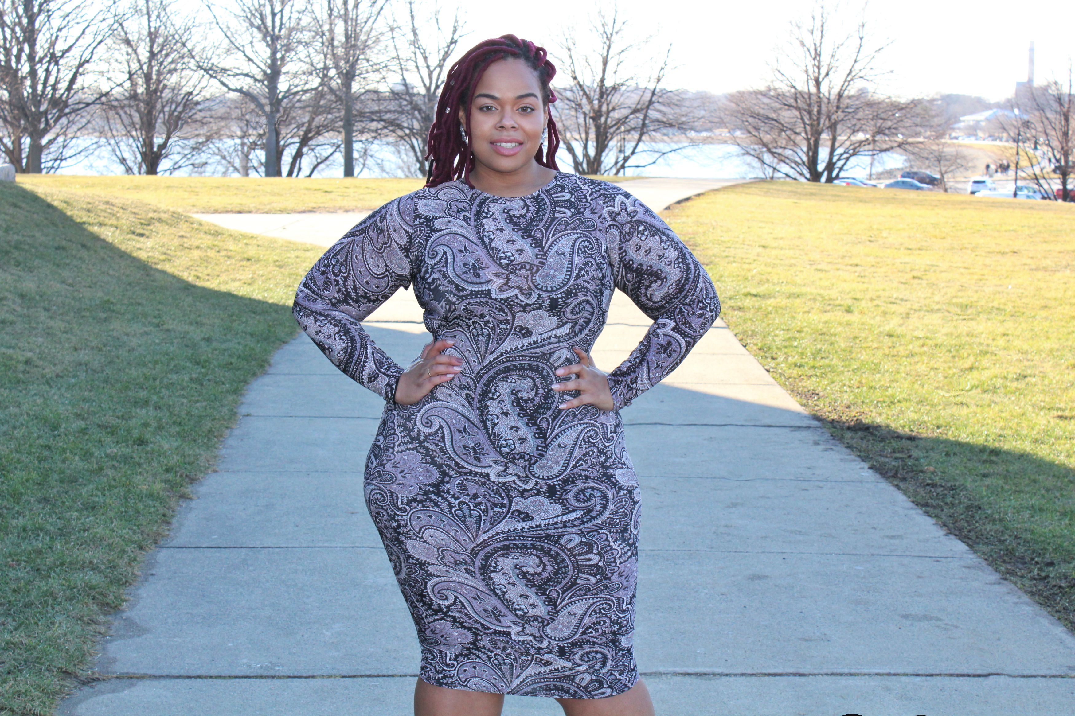 Plus Size Paisley Print Bodycon